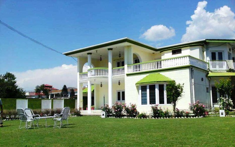 video image