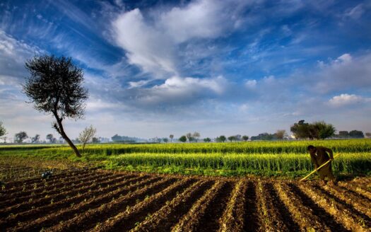 75 Acre Land National Highway Gharo