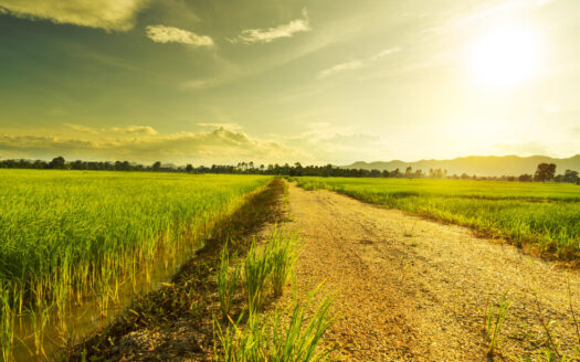 75 Acre Land National Highway Gharo